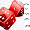 How to play ludo star