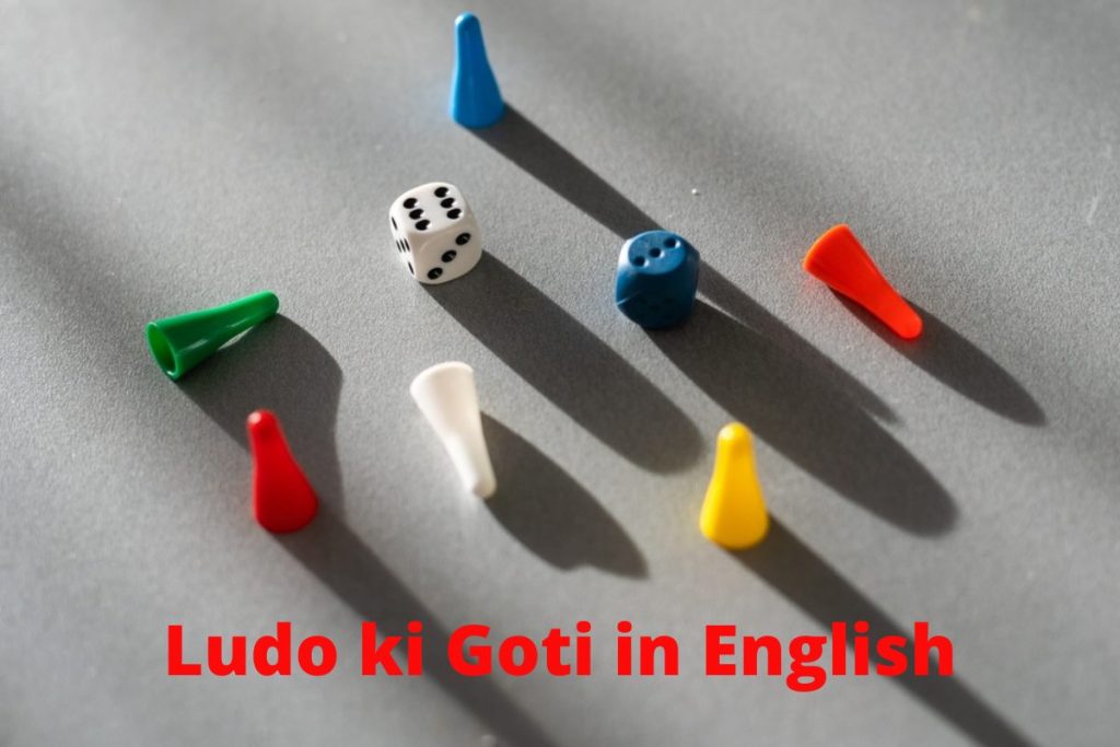 Ludo Goti in English