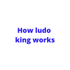 How ludo king works