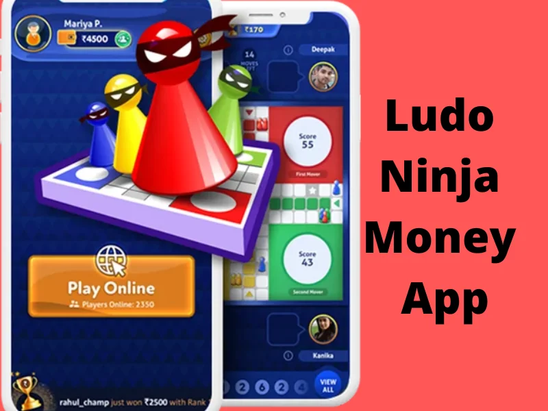 Ludo Ninja Cash App