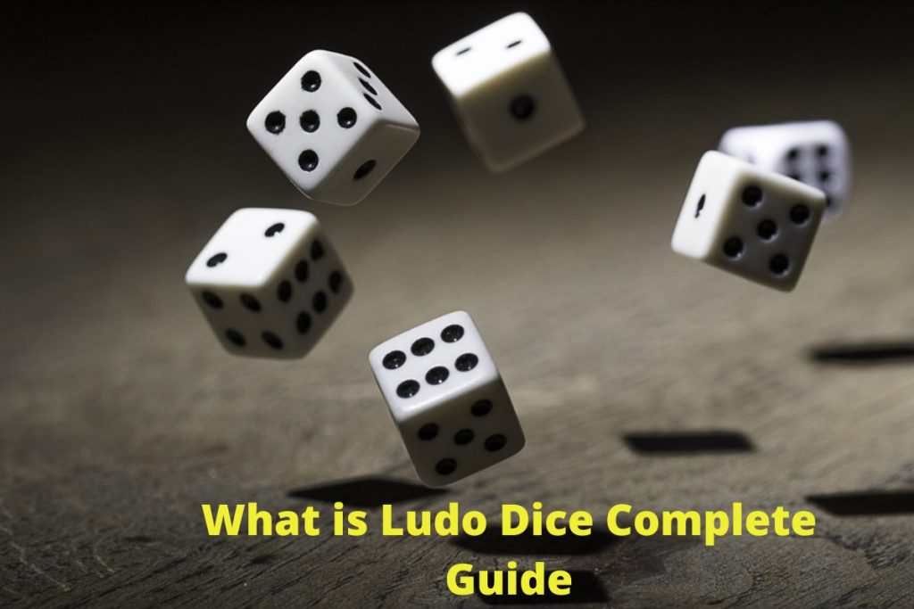 What is Ludo Dice Complete Guide